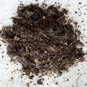 Tips for Great Compost | Compost production can be somewhat controversial. Some gardeners are very particular about what should and should not go in the pile, and how the pile should be managed. However, everyone agrees on one thing: the end result should be black and crumbly with a pleasant, earthy aroma. Here are my best tips for making great compost, including a few rule breakers. | GNOWFGLINS.com