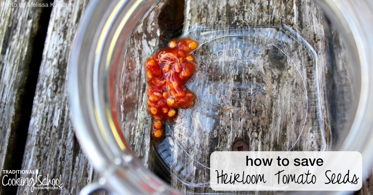 Where to Buy Heirloom Seeds - Melissa K. Norris