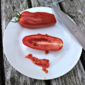 How To Save Heirloom Tomato Seeds | One of my favorite things about heirloom plants is being able to save the seeds. Purchase the seeds once and then, by the beauty of God's design, you can save the seeds to plant year after year to feed your family. | TraditionalCookingSchool.com