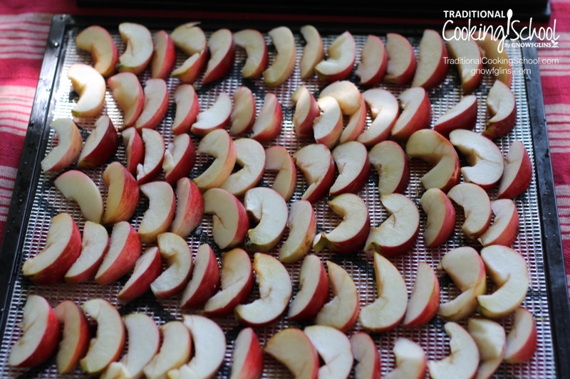 As much as I love fall's crisp apples, I can't eat them all before they go bad. That's why I enjoy making pies, apple sauce and muffins. Or, I preserve them through dehydrating -- which is easy and requires very little storage space. Here's how. | TraditionalCookingSchool.com 