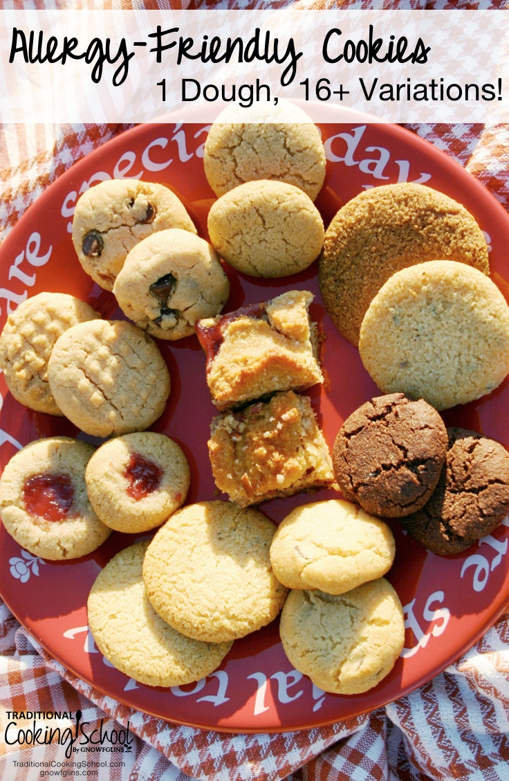 Allergy-Friendly Cookies {1 Dough, 16+ Variations!} | Allergy-friendly cookies? Introducing your one-stop shop! Now you can make 1 basic dough and turn it into 16+ kinds of delicious, nourishing, and uniquely different cookies. How fun is that!? | TraditionalCookingSchool.com