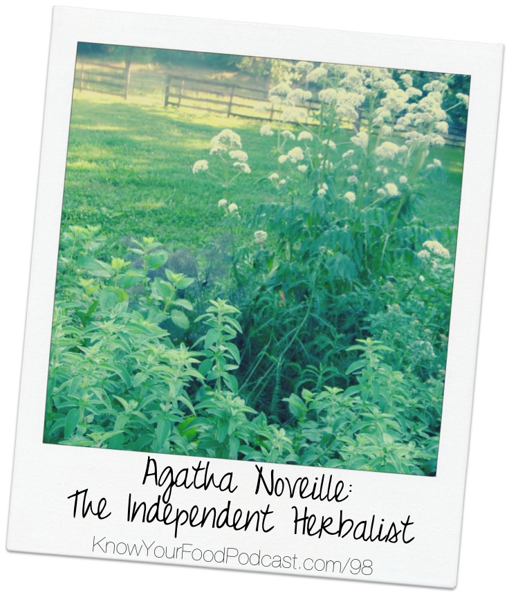 Sick for years, Agatha finally learned she had Lyme Disease. But today, through natural healing and herbs, she's completely recovered. And along the way, she discovered a passion for herbs. She's got a refreshing common sense approach, sharing the best herbs, and how to gather, store, and use them -- safely! Plus... the tip of the week! | KnowYourFoodPodcast.com/98