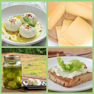 15 Easy Raw Cheese Recipes | If you make cheese already and appreciate quality recipes... Or, if you want to learn how to make cheese and need a vetted set of recipes to start you off... ...then this post is for you. We did all the hard work of reviewing recipes (and making a bunch of them, too) so you can just dive in and get started. Yummy cheese awaits! | TraditionalCookingSchool.com