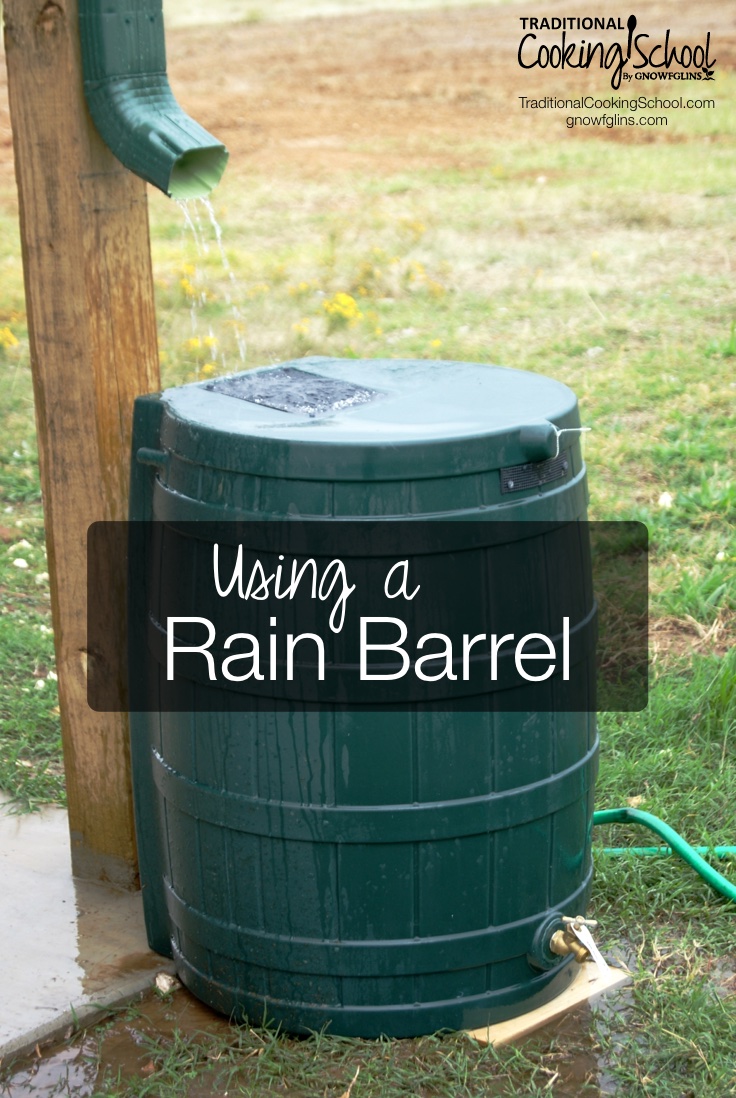 Using a Rain Barrel | Rain barrels help you take that extra step toward self-sufficiency and sustainability, plus they reduce your water bill. Here are 2 cautions to keep in mind, plus 6 things to consider when shopping for one. | TraditionalCookingSchool.com