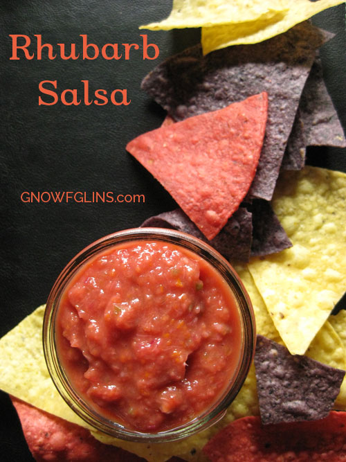50 Fermented Salsas, Dips, & Spreads | My family are huge fans of my homemade salsa, bean dip, and pesto -- which are all lacto-fermented. As I put together this round-up of 50 amazingly healthy and colorful fermented salsas, dips, and spreads, my eyes were opened to all the ways I can add even more beneficial bacteria into our foods... and probably without anyone noticing. ;) | TraditionalCookingSchool.com