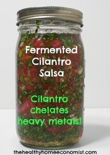 50 Fermented Salsas, Dips, & Spreads | My family are huge fans of my homemade salsa, bean dip, and pesto -- which are all lacto-fermented. As I put together this round-up of 50 amazingly healthy and colorful fermented salsas, dips, and spreads, my eyes were opened to all the ways I can add even more beneficial bacteria into our foods... and probably without anyone noticing. ;) | TraditionalCookingSchool.com
