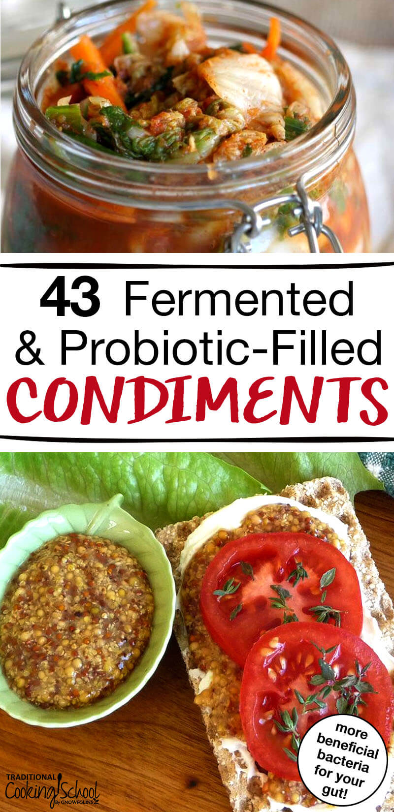 43 Fermented and Probiotic-Filled Condiments | Your family just. doesn't. like. them. Like what? Fermented foods. I know... shocking. ;) Yet, actually, this is very common! So I'm bound and determined to help you succeed! Let's continue on our ever-important quest to add more beneficial bacteria to our guts, this time with 43 probiotic-filled, fermented condiments! Because, for real, who doesn't like ketchup? | TraditionalCookingSchool.com