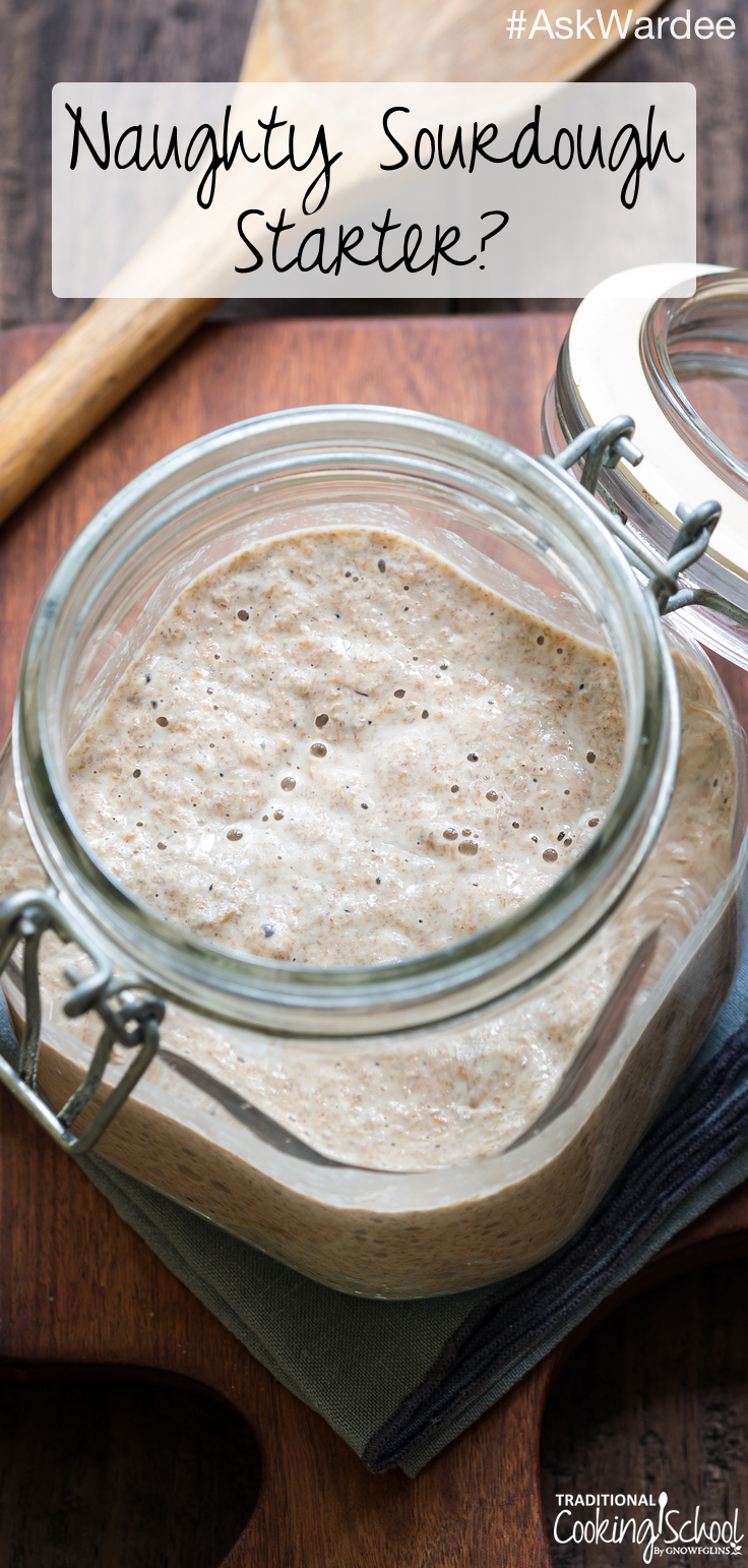 "Why so gloppy and so much hooch, sourdough starter?" and "Can I leave the vinegar out of my broth?” Watch, listen, or read to find out the answer! | AskWardee.tv