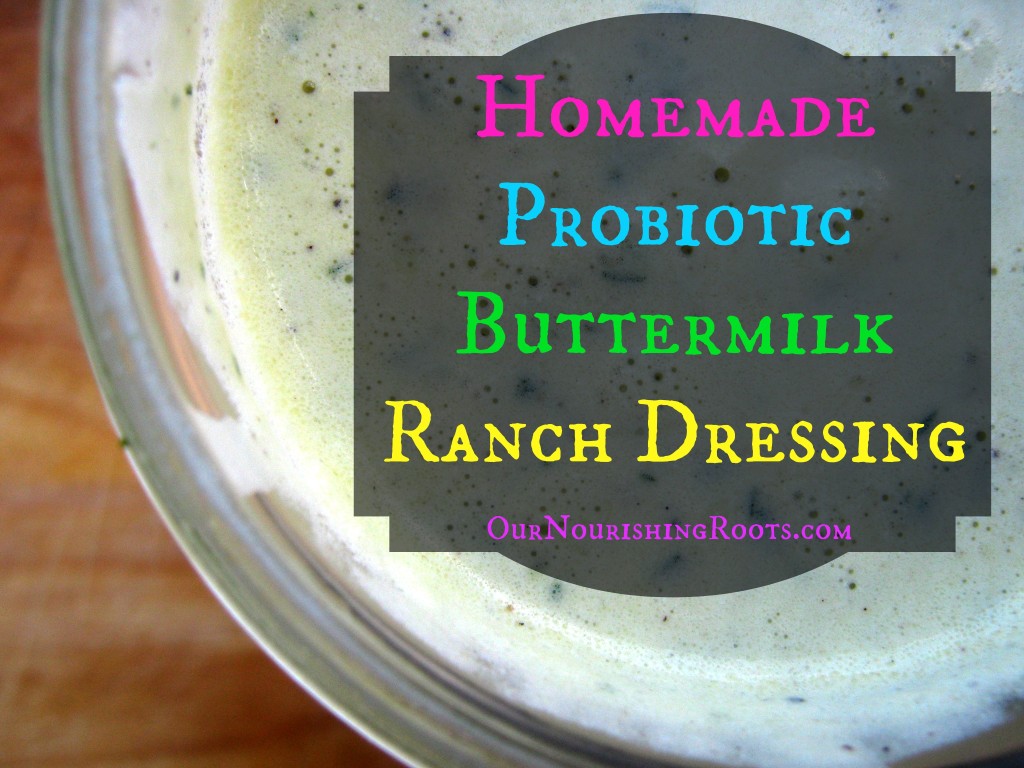 28 Fermented and Probiotic Salad Dressings | Know the feeling? You get attached to a certain bottled or restaurant dressing; then you find out it's full of junk. I can help! In this round-up of 28 fermented and probiotic-filled salad dressings, you're sure to find at least one that's just right! | TraditionalCookingSchool.com