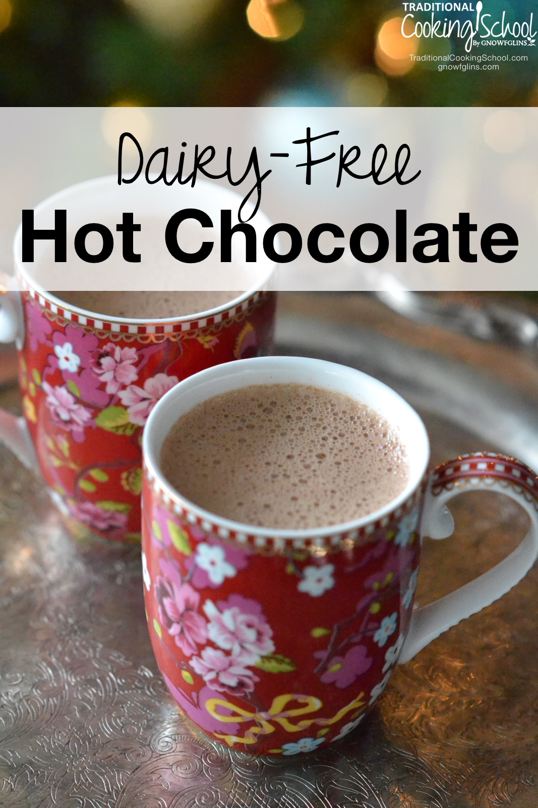 Dairy-Free Hot Chocolate | The perfect warm-up treat when it's cold and wintry outside? A cup of hot chocolate, of course! Unfortunately, if you're staying away from dairy, store bought mixes usually contain it -- along with a host of other unhealthy ingredients. The good news? It's super easy to make dairy-free hot chocolate! | TraditionalCookingSchool.com