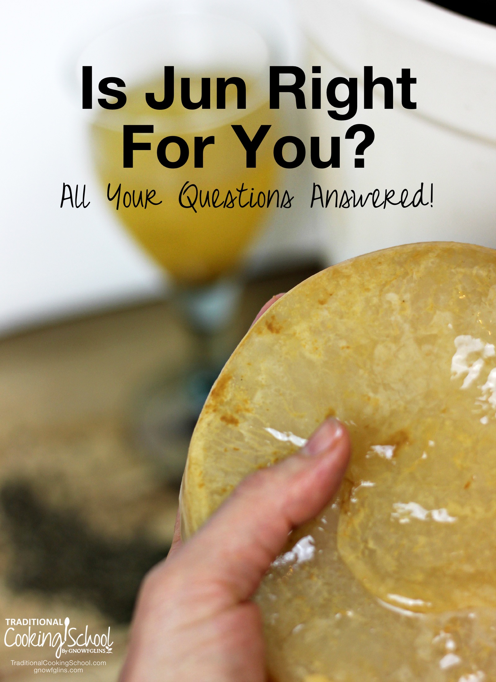 Is Jun Right For You? All Your Questions Answered! | What is jun? How does it compare to kombucha? Is it a good choice for your family? In this post, I'll answer some frequently asked questions about this historical fermented beverage to help you decide whether or not it's a good choice for your family. | TraditionalCookingSchool.com