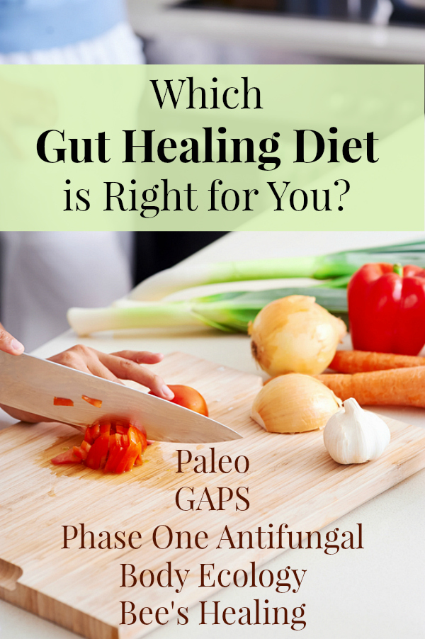 82 Ways to Heal Your Gut | Did you know that the function of your immune system, the state of your mental health, the pain or lack thereof in your joints, and even whether or not you have seasonal allergies can all be determined by one thing? Do you know what it is? And did you know you can heal it yourself? | TraditionalCookingSchool.com