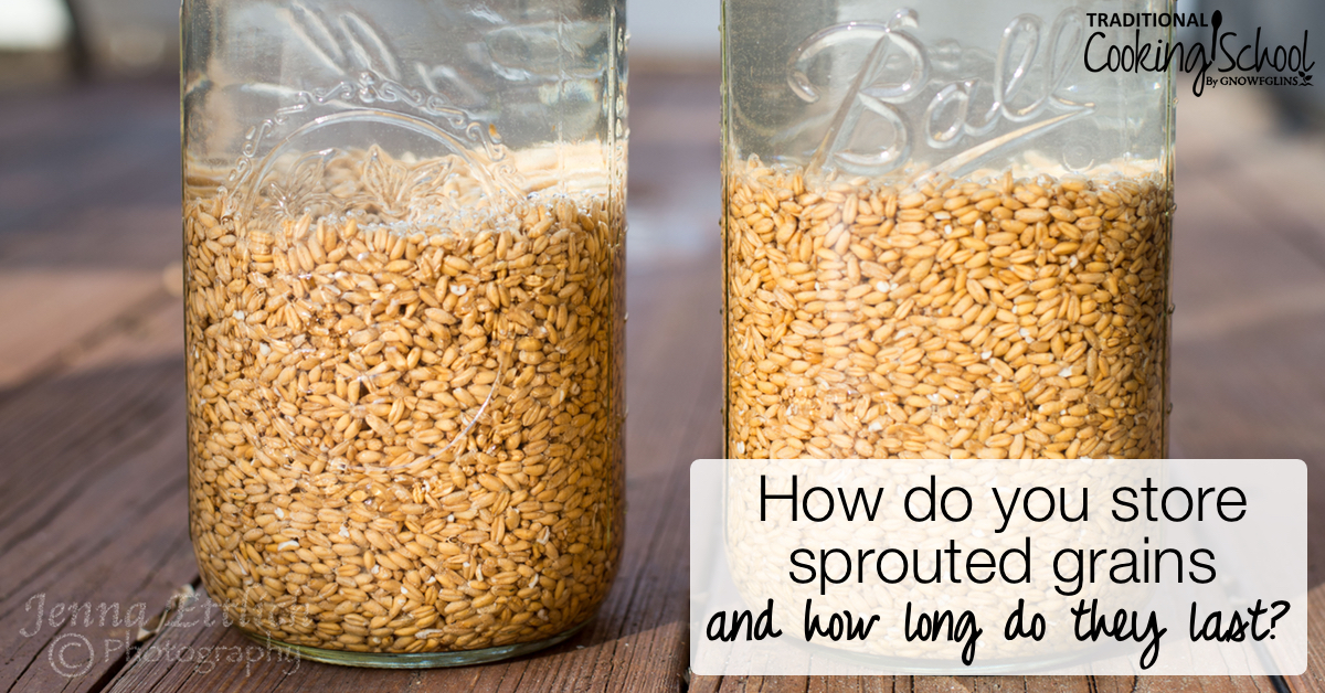 How Do You Store Sprouted Grains And How Long Do They Last Askwardee 017