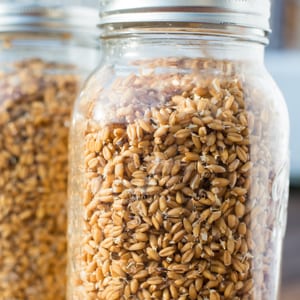 “How do you store sprouted grains, and how long do they last?” asks Sue. Watch, listen, or read to find out the answer PLUS discover how sprouting grains makes baking cookies so easy — just mix and pop them in the oven! | AskWardee.tv
