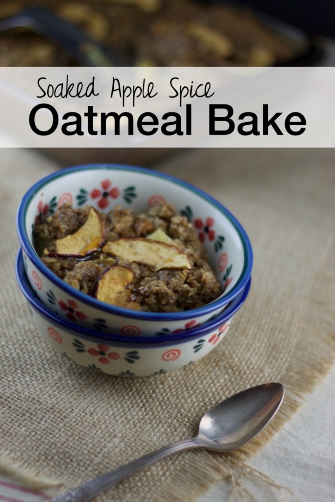 33 Nourishing Oatmeal {and N'Oatmeal} Recipes | Cold mornings + hot, steaming bowls of oatmeal = cozy breakfast perfection. Oatmeal is one of those beautifully simple foods you just can't go wrong with. So maybe it's time to jazz up your plain-Jane oatmeal... I've even included a few "no oat" options for you grain-free folks that are still just as nourishing and comforting. Here are a few good ideas! | TraditionalCookingSchool.com