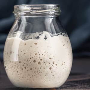 Can you use cold flour or water in your sourdough starter? Normally, I say that sourdough needs warmth to be active and strong. Watch, listen, or read to learn the exceptions to this rule!