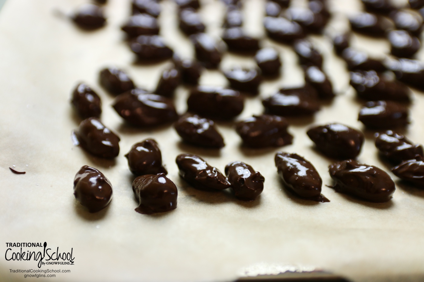 Sea Salt & Dark Chocolate Covered Almonds {Super Crunchy!} | 