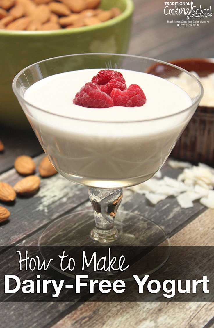 How To Make Dairy-Free Yogurt | When I gave up dairy, I thought my days of eating creamy, delicious yogurt were over. Of the few dairy-free yogurts even available, many of them were chalky, tasteless, or full of sugar and additives. So I stopped buying yogurt altogether, but I always missed it... Until I discovered how easy it was to make my own dairy-free yogurt! | TraditionalCookingSchool.com
