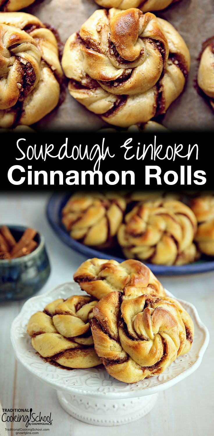 Sourdough Einkorn Cinnamon Rolls | I have a theory... Cinnamon rolls, like pizza, are enjoyable even when imperfect. These cinnamon rolls, however, are better than just enjoyable. They are soft, fragrant, and beautiful -- plus naturally fermented for additional nutrients and easier digestion. | TraditionalCookingSchool.com
