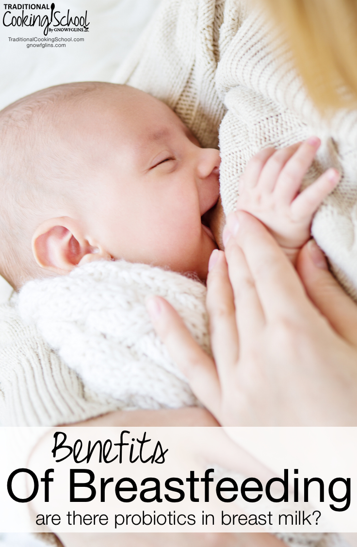 Benefits Of Breastfeeding: Are There Probiotics In Breast Milk? | What are the benefits of breastfeeding your baby? How do babies build up their immune system and gut flora from nothing? And -- are there probiotics in breast milk? Let's get scientific and explore all the wonderful ways nursing benefits your baby for life! | TraditionalCookingSchool.com