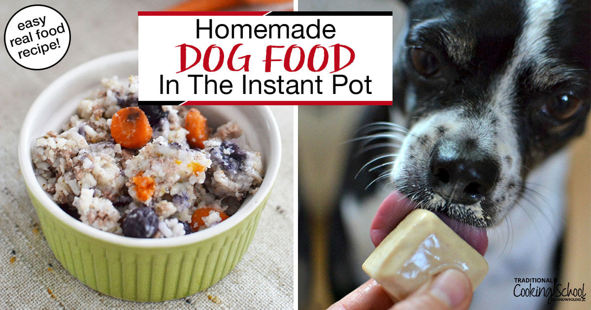 Homemade Dog Food In The Instant Pot | Traditional Cooking School