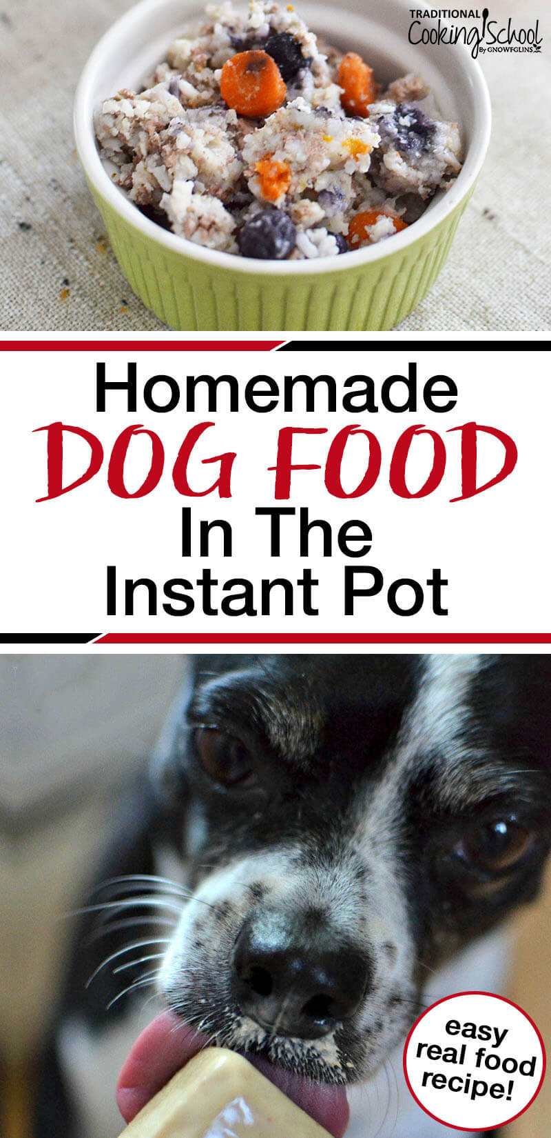 homemade dog food in the instant pot with text overlay and photo of boston terrier