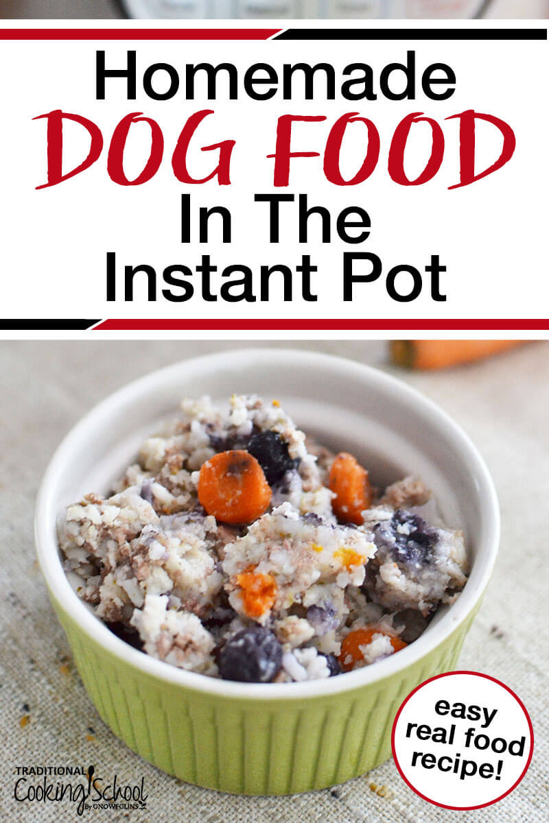 homemade dog food in the instant pot with text overlay