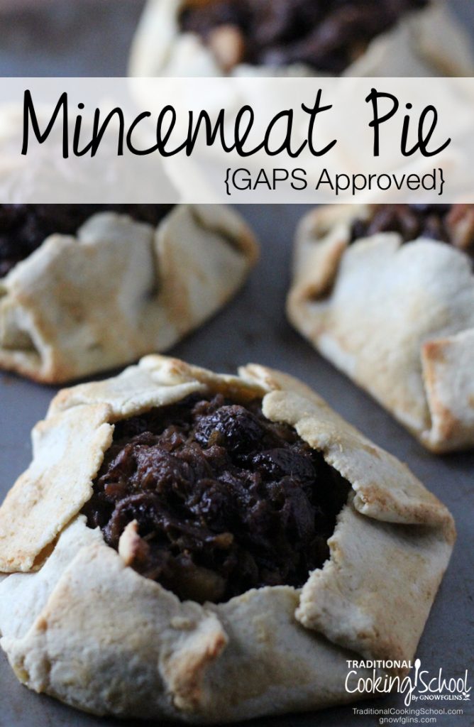 Grain-Free Mincemeat Pie (a GAPS-approved holiday recipe)