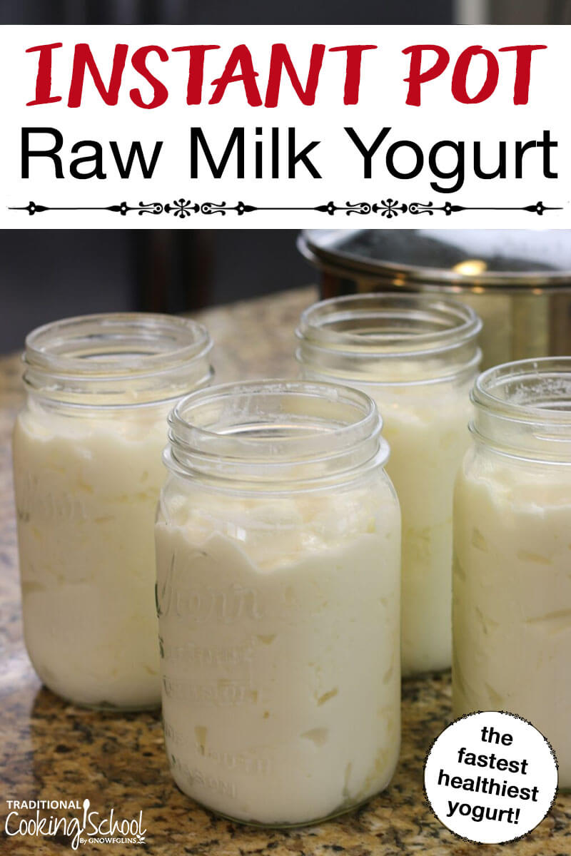 Raw Milk Yogurt {Instant Pot} | Is it possible to make thick raw milk yogurt in the Instant Pot? In other words... can you skip the pasteurizing step, retaining all the raw goodness of your milk, and still end up with thick yogurt? Find out here! | TraditionalCookingSchool.com