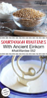 Since switching to ancient einkorn for baking, my sourdough routine has gone back and forth between daily and weekly care. Watch, listen, or read to learn about how my routine changes depending on the season and how we're eating. | AskWardee.tv