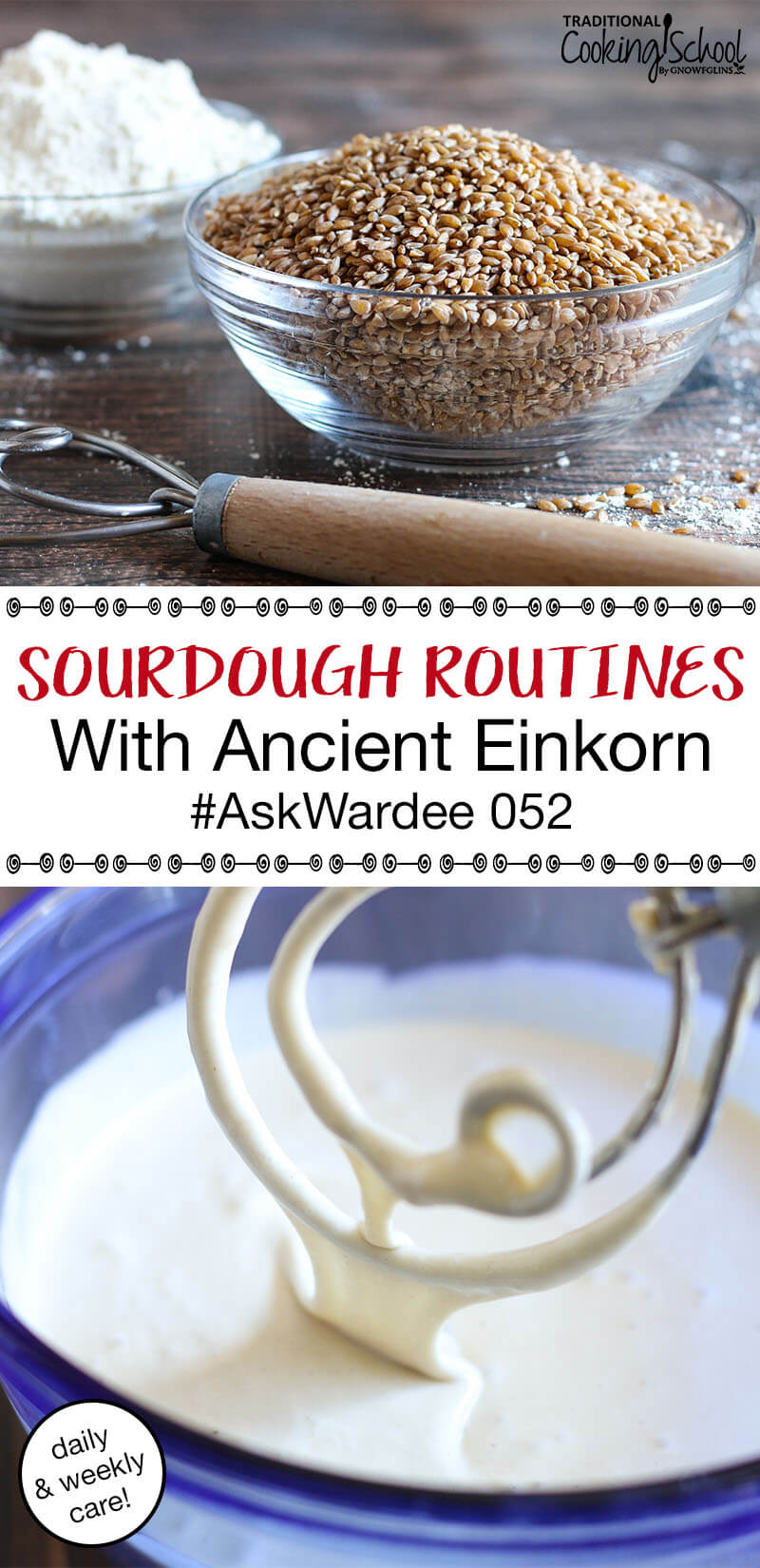 Since switching to ancient einkorn for baking, my sourdough routine has gone back and forth between daily and weekly care. Watch, listen, or read to learn about how my routine changes depending on the season and how we're eating. | AskWardee.tv