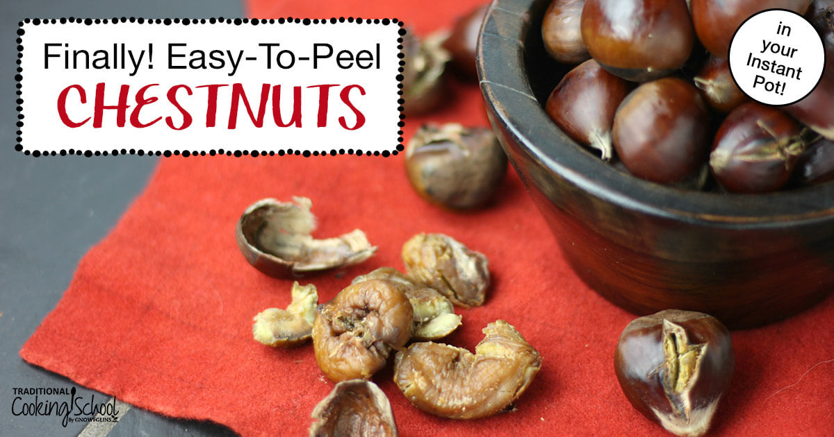 Finally Easy To Peel Chestnuts In The Instant Pot,Chameleons