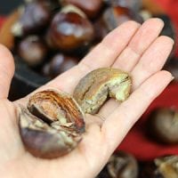 A woman's hand holding a chestnut that's been peeled.