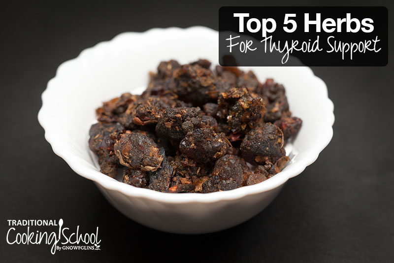 Top 5 Herbs For Thyroid Support | Although there are many herbs that support the thyroid, here are the top 5. The first 4 support an underactive thyroid, while the last herb helps soothe hyperthyroidism. | TraditionalCookingSchool.com
