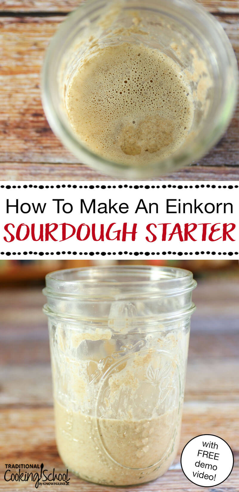 How To Make An Einkorn Sourdough Starter (Video Demo!) | Combine the power of sourdough with the health of einkorn -- a healthy 5,000-year-old variety of wheat -- and you've got all you need for delicious, easily digestible breads, cinnamon rolls, bagels, and more! Find out why I love sourdough so much, and then I'll show you how you can start your own einkorn sourdough starter! | TraditionalCookingSchool.com
