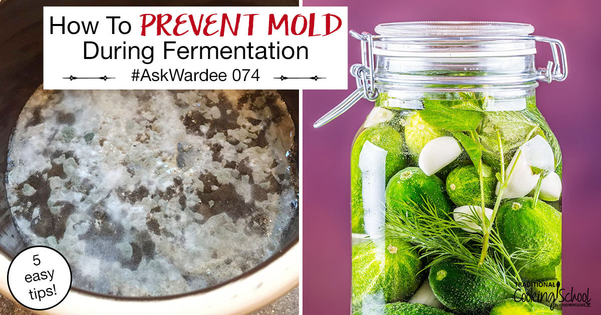 How To Prevent Mold During Fermentation Traditional Cooking School