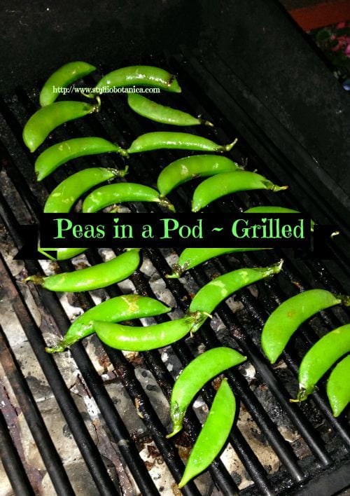 Grilled pea pods on the barbecue 