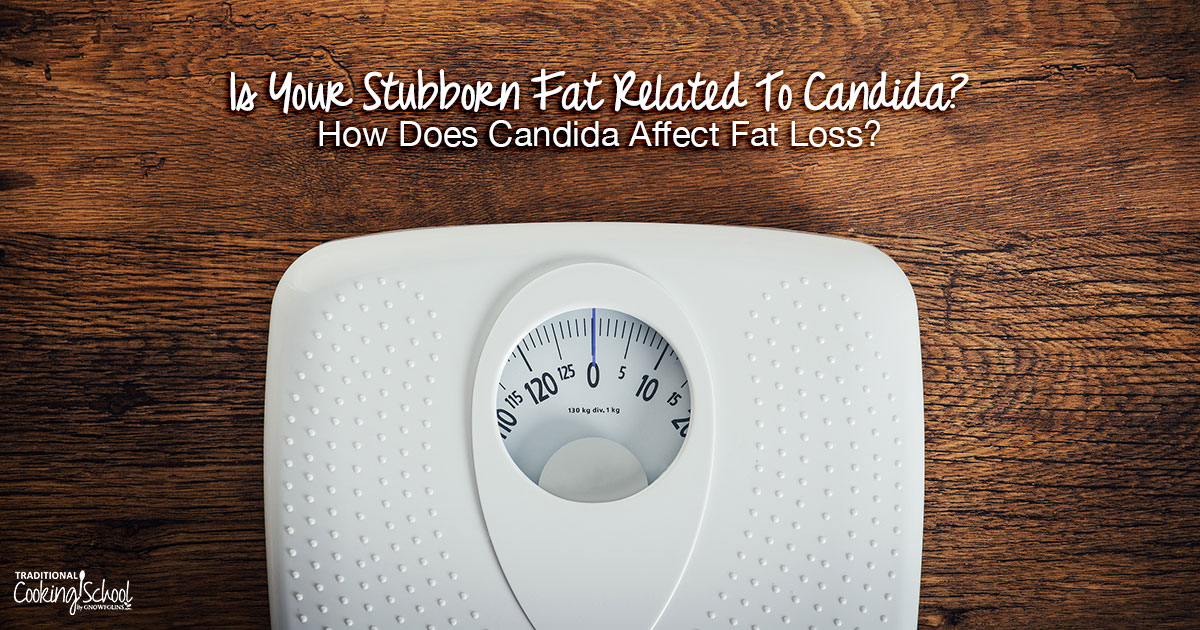 Is Your Stubborn Fat Related To Candida & Does Candida Affect Fat Loss?