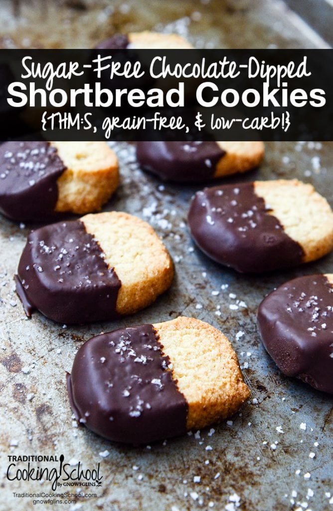When you're on a healing or weight loss journey, it's very important emotionally to have sweet treats. These Chocolate-Dipped Shortbread Cookies fit the bill! They're allergy-friendly, grain-free, gluten-free, low-carb, and THM:S! | TraditionalCookingSchool.com