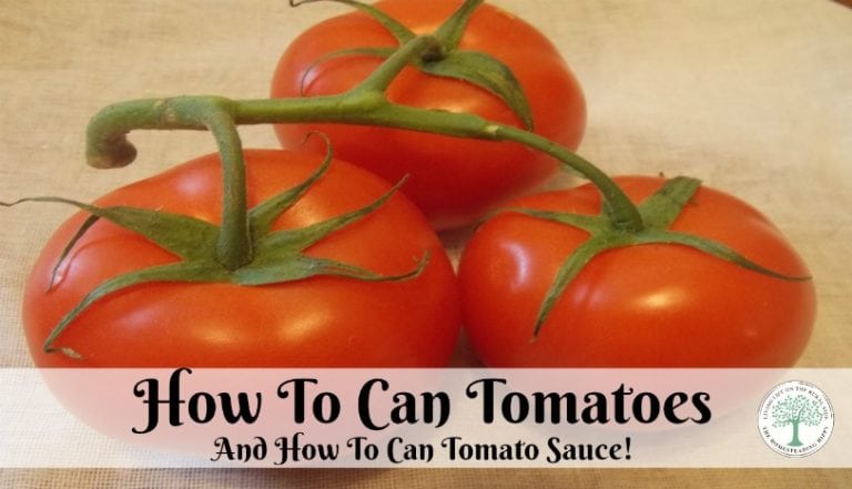 How To Can Tomatoes -- 16 Ways! | Traditional Cooking School