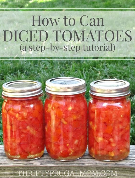 How To Can Tomatoes -- 16 Ways | When tomatoes are coming out your ears, there's only one thing to do... can them! Let's move on from plain tomato sauce! Here are 16 ways to can tomatoes -- salsa, soup, jam, spaghetti sauce, and MORE! | TraditionalCookingSchool.com