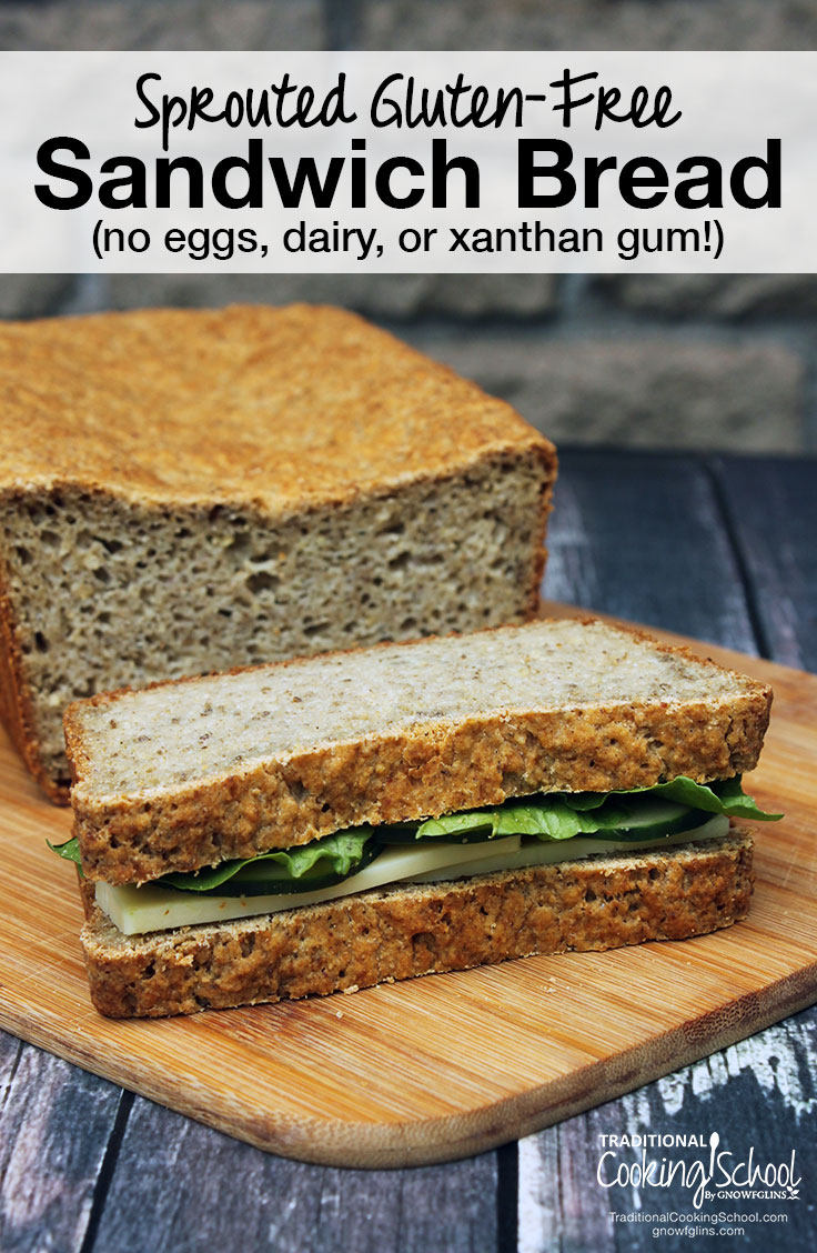 Sprouted Gluten-Free Sandwich Bread | It's *HARD* to find healthy, gluten-free sandwich bread, isn't it? Look no further! This nutrient-dense, sprouted gluten-free sandwich bread has that warm, yeasty smell and taste that you expect from homemade bread -- with NO dairy, eggs, or xanthan gum! | TraditionalCookingSchool.com