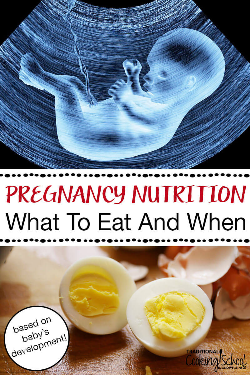 Pregnancy Nutrition: What To Eat & When Based On Baby's Development | Get a trimester-by-trimester snapshot of how your baby is growing during pregnancy (hint: there's a LOT happening in a short time!). With all that's going on, you'll want to nourish your body and baby's body with nutrient-dense foods, right? Learn what to eat and when based on baby's development so you can get ideal nutrition during your pregnancy. | TraditionalCookingSchool.com