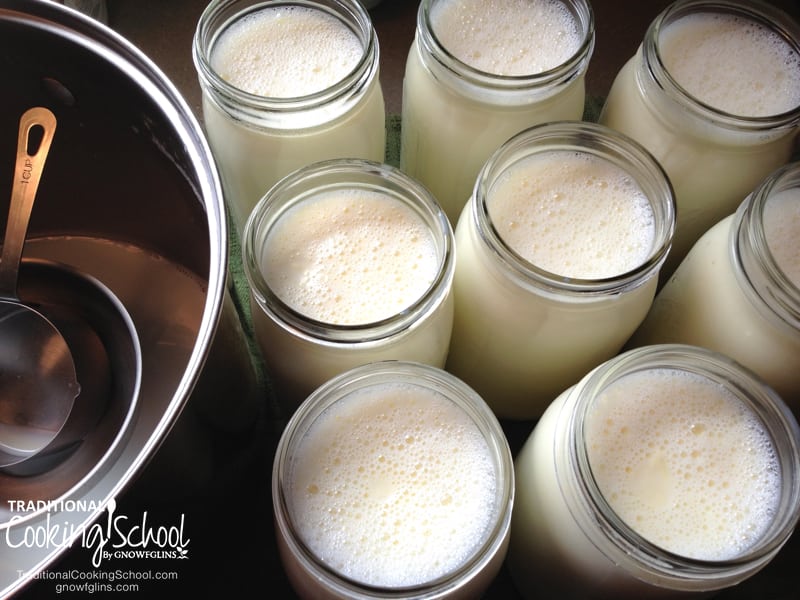glass jars filled with frothy milk