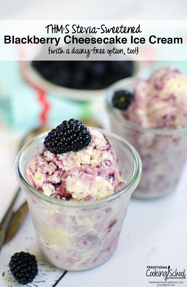 Full of enzymes, probiotics, healthy fats, and antioxidants -- and with only stevia and fresh berries for sweetness -- this blackberry cheesecake ice cream is just as acceptable for breakfast as it is for dessert! It's a Trim Healthy Mama S dessert with a dairy-free option, too! |