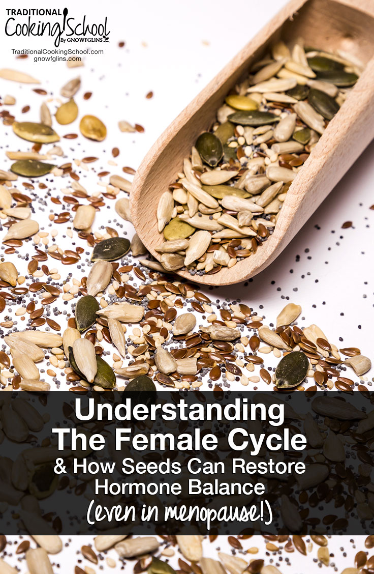 Understanding The Female Cycle & How Seeds Can Restore Hormone Balance (even in menopause!) | Once you have an understanding of the female cycle, you can heal from the hormone imbalances that cause PMS, heavy periods, low libido, and even the discomfort of menopause. Learn how to track your cycle and how seeds can help restore hormone balance -- yes, even if you're in menopause and don't have a period! | TraditionalCookingSchool.com