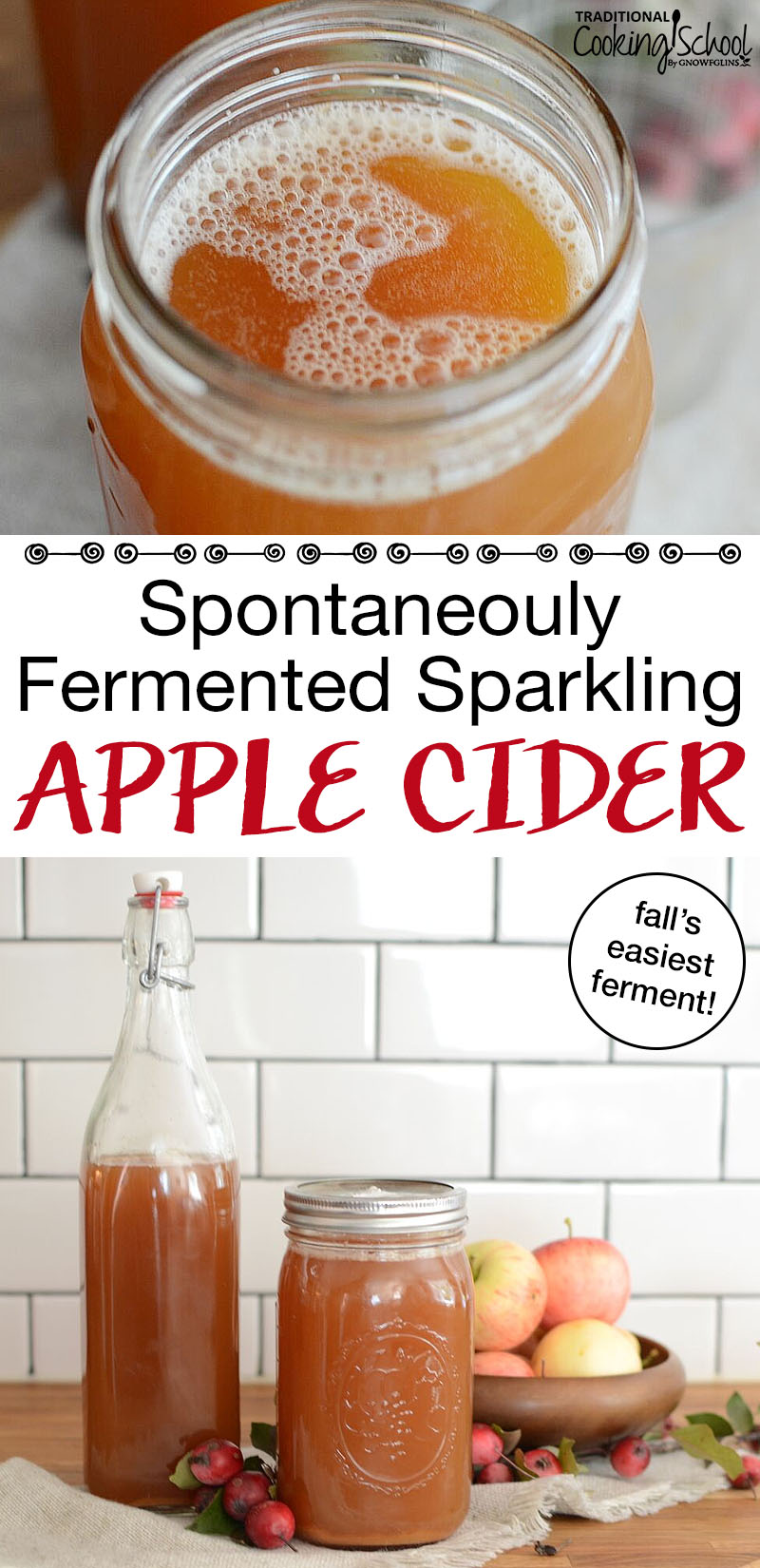 Spontaneously Fermented Sparkling Apple Cider {fall's easiest ferment!} | Wherever you live, I want you to get your hands on as many organic apples as you can... the uglier the better... so you can make spontaneously fermented sparkling apple cider! Fall's easiest ferment requires only fresh-pressed cider and a glass container! It's so easy! | TraditionalCookingSchool.com