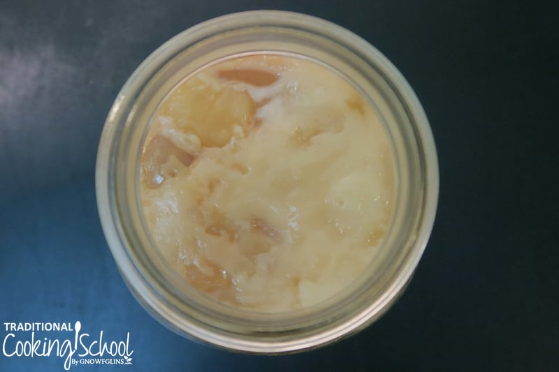Did you know... Kombucha rarely grows mold? The SCOBY (mother culture) is quite hardy and balanced. Yet, mold does happen sometimes. Watch, listen, or read to learn how to tell if your Kombucha is moldy, plus what to do about it and how to prevent mold in future batches!