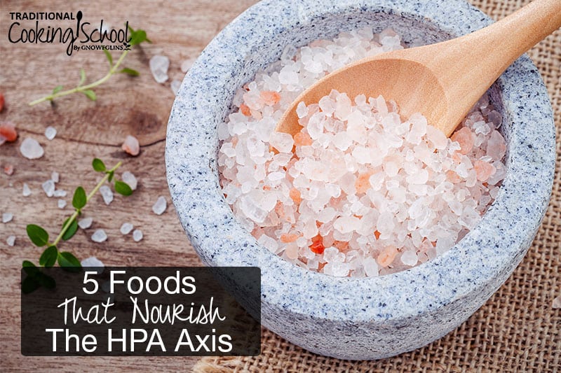 Have you experienced fatigue, insomnia, weight gain, blood sugar imbalance, anxiety, and cravings for sweet or salty foods? A nutrient-dense diet is exactly what sufferers of HPA axis dysfunction (formerly called adrenal fatigue) need! It is possible to find healing through diet with these 5 foods that nourish the HPA axis!
