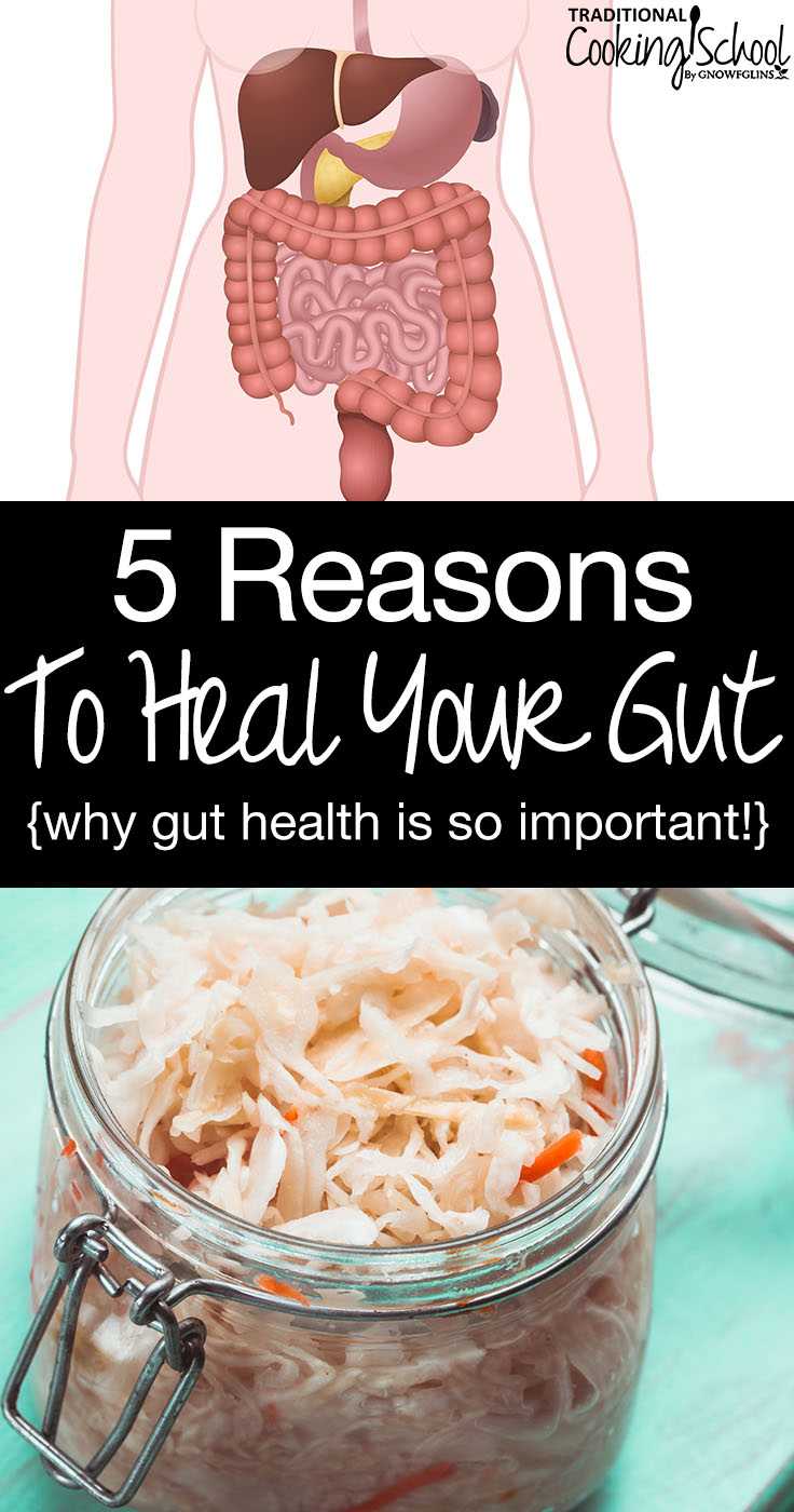 Did you know... there are as many bacteria residing in our bodies as there are cells comprising our bodies? You've probably heard a lot about how to heal your gut, yet do you know WHY gut health is crucial to overall health? Did you know that your gut health (or lack thereof) affects your weight, mental health, immune system, and hormonal balance? Learn 5 reasons to heal your gut and why gut health is so important!